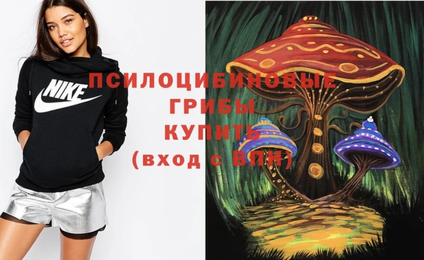 Альфа ПВП Богданович