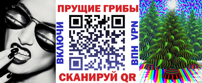 Купить где  Мезень  Галлюциногенные грибы GOLDEN TEACHER 